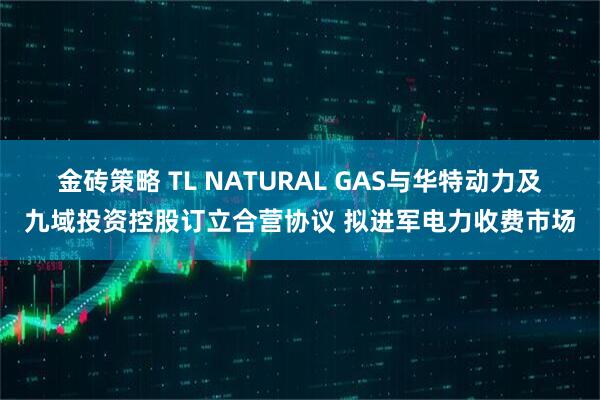 金砖策略 TL NATURAL GAS与华特动力及九域投资控股订立合营协议 拟进军电力收费市场