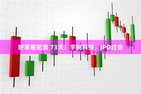 好策略配资 73天！宇树科技，IPO过会